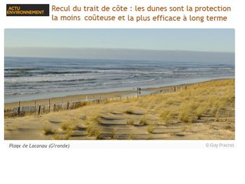 illustration Etude : les dunes sont la protection la moins coûteuse et la plus efficace contre le recul du trait de côte