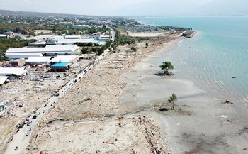 illustration Indonésie. Contre les tsunamis, la mangrove plus efficace que les digues