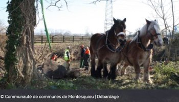 illustration Gemapi : Montesquieu entretient naturellement ses rivières en régie (33) 