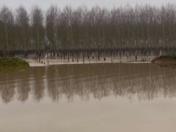 illustration Inondations en Lot-et-Garonne : Premiers bilans