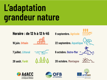 Webinaire : L'adaptation grandeur nature - milieu littoral