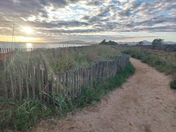 illustration Appels à projet : Des solutions fondées sur la nature pour adapter les territoires côtiers à l'érosion