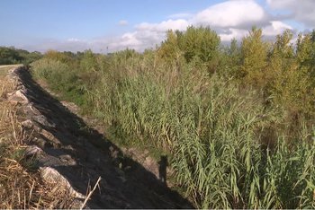 illustration Pyrénées-Orientales : un chantier gigantesque pour prévenir les crues de l’Agly et les inondations