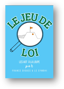 Jeu de LOI "devenez animateur"