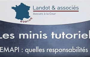 miniature GEMAPI : Quelles responsabilités?