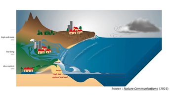 illustration Accélération du risque de submersion marine à l’échelle mondiale : le rôle des vagues révélé