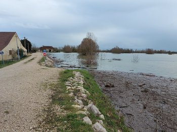 illustration Saône Doubs Bresse définit ses systèmes d’endiguement