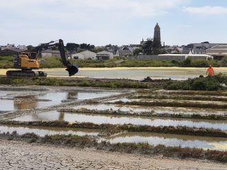 A Batz-sur-mer, des grains de sel dans les digues