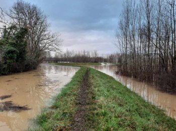 illustration Garonne : à Toulenne, l’« abandon » des digues suscite un vif débat